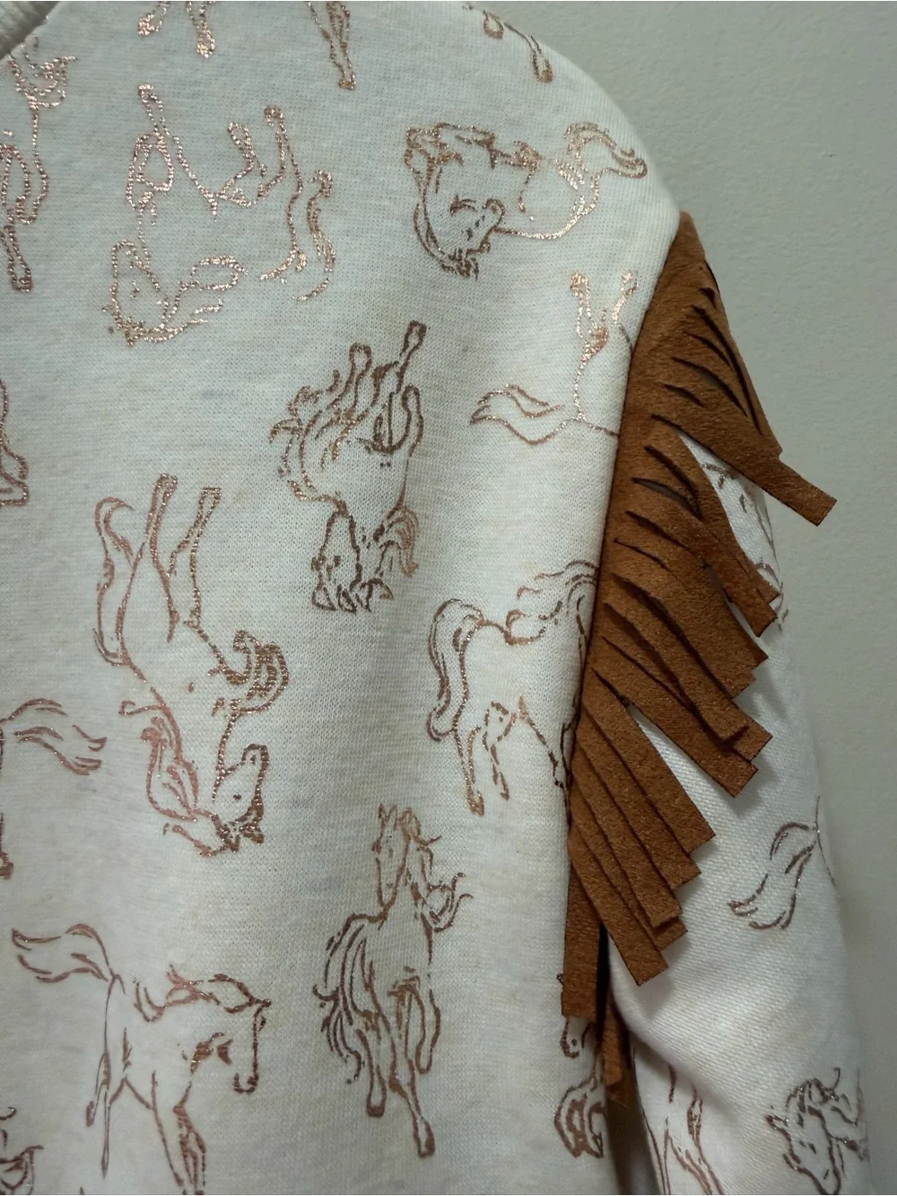 Haute Hippie Kids country girl Horse fringe sweatshirt  pleated skirt & Bag ser